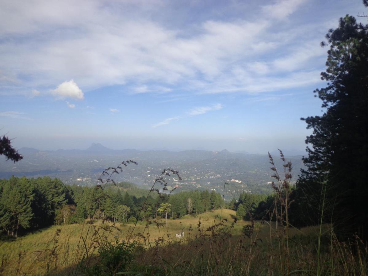 Nisha Homestay Inn เปราเดนิยา ภายนอก รูปภาพ